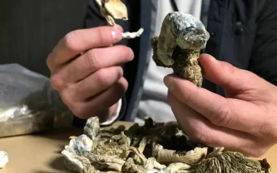 Canada approves psilocybin for compassionate use in four patients