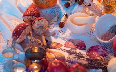 Magic Mushrooms: 5 Tips for a Great Trip