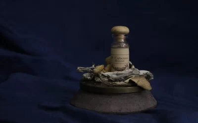 The 10 Best Ways to Take Magic Mushrooms