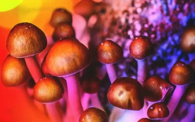 Mushrooms as Medicine? Psychedelics May Be Next Breakthrough Treatment
