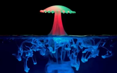 Magic Mushrooms As Medicine? Johns Hopkins Scientists Launch Center For Psychedelic Research. Say Psychedelics Could Treat Alzheimer’s, Depression And Addiction