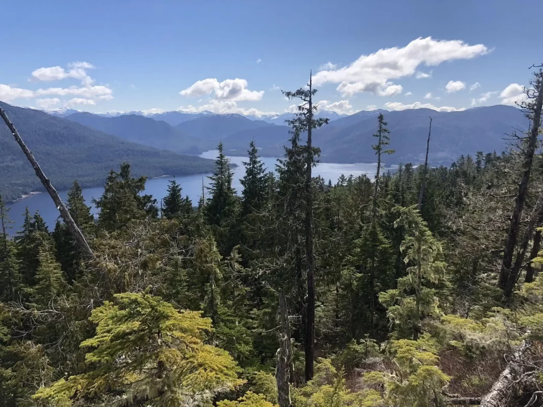 Prince Rupert Shroom Trip Prince Rupert Shroom Trip