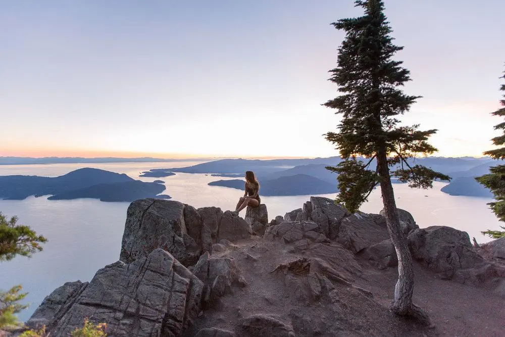 Vancouver Shroom Trip Vancouver Shroom Trip