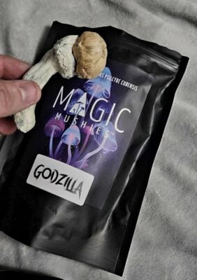 Click to view full screen Magic Mushroom Party Pack 4oz (Staff Favorites)