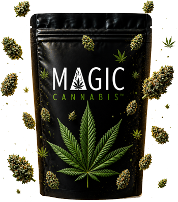 magic mushies health body and mind cannabis - Magic Mushies